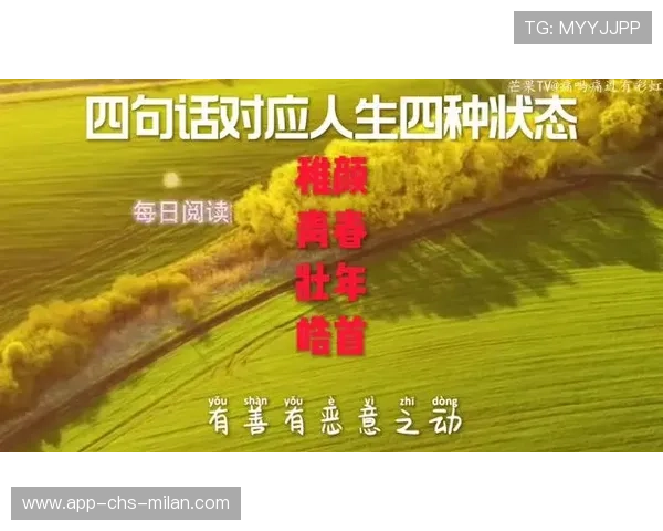 深入解析梁馨枰旷野人生观对运动员成长的影响，旷野的人生讲章